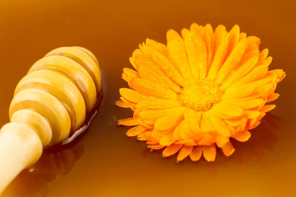 Wooden drizzler on background fresh sweet honey and flowers, macro — 图库照片