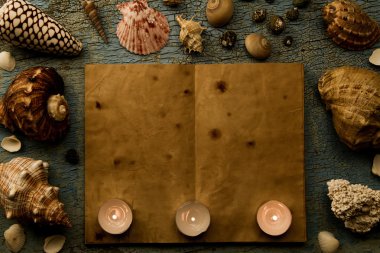 Deniz kabuklarını ve denizyıldızı eski kırık mavi arka plan üzerinde. Boş veya eski bir kitap açın. Spa