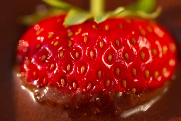 Ripe fresh strawberries in chocolate, closeup — Stock Photo, Image