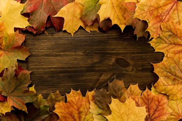 Colorful maple leaves on wooden background. Thanksgiving, autumn. — Stock Photo, Image