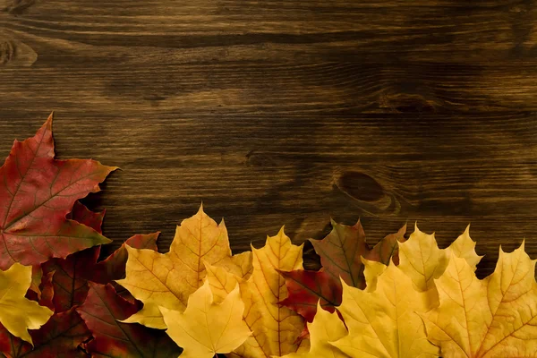 Colorful maple leaves on wooden background. Thanksgiving, autumn. — Stock Photo, Image