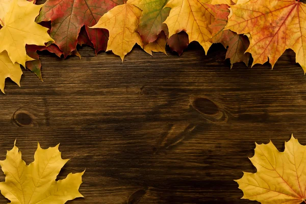 Colorful maple leaves on wooden background. Thanksgiving, autumn. — Stock Photo, Image