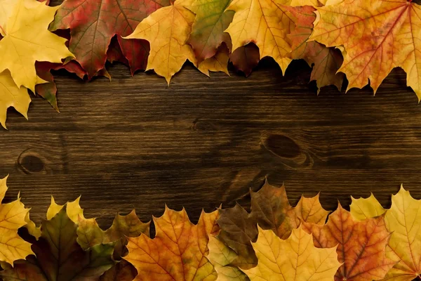 Colorful maple leaves on wooden background. Thanksgiving, autumn. — Stock Photo, Image