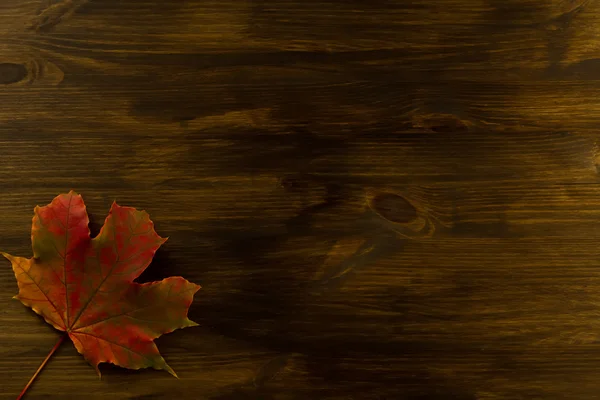 Colorful maple leaves on wooden background. Thanksgiving, autumn. — Stock Photo, Image