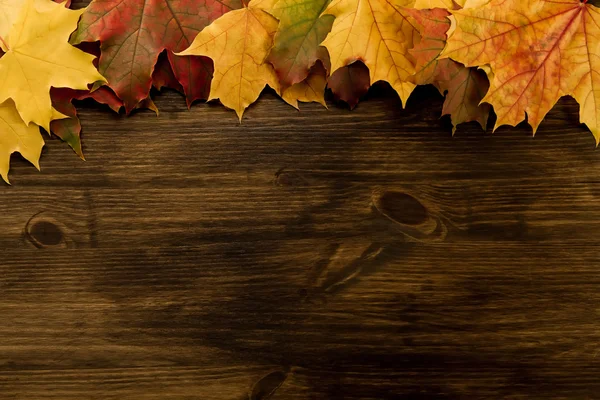 Renkli akçaağaç ahşap arka plan üzerinde bırakır. Şükran günü, sonbahar.