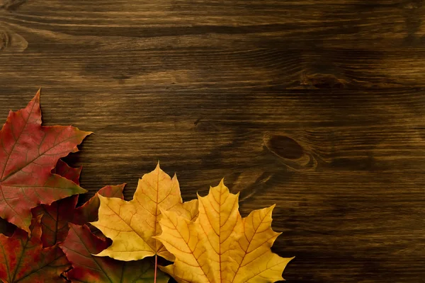 Kleurrijke esdoorn bladeren op houten achtergrond. Thanksgiving, herfst. — Stockfoto