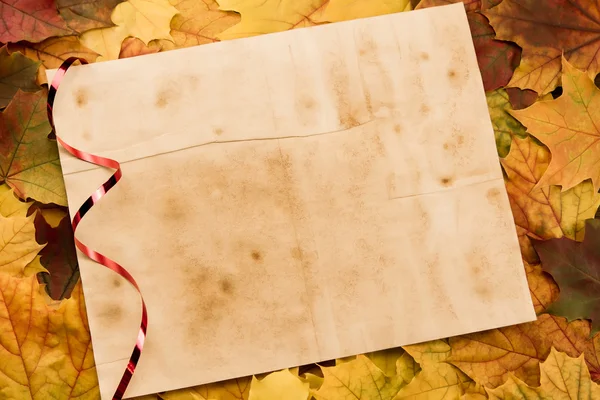 Old vintage blank sheet of paper on colorful maple leaves. Thanksgiving, autumn. — Stock Photo, Image