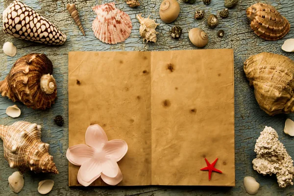 Deniz kabuklarını ve denizyıldızı eski kırık mavi arka plan üzerinde. Boş veya eski bir kitap açık.