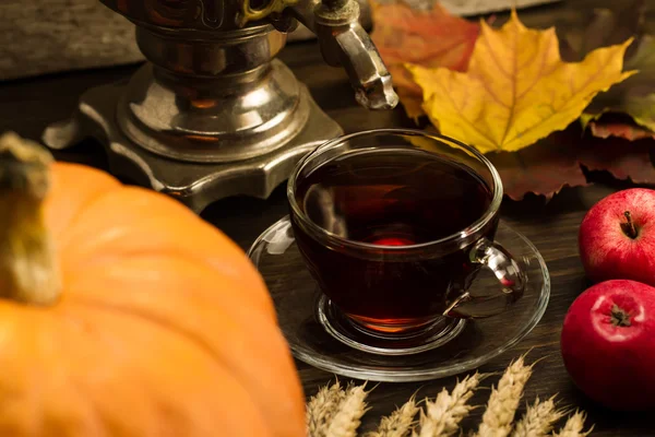 Tea still life with samovar, apples, ripe orange pumpkins, maple leaves, wheat on wooden background. Thanksgiving, autumn. — Stockfoto