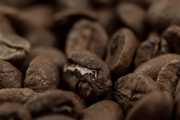 Roasted coffee beans, macro — Stock Photo, Image