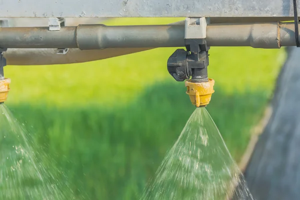 HYDRANT watervoorziening vuur omringd door bloemen — Stockfoto