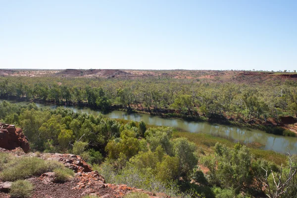 Millstream Chichester Park Narodowy Australia — Zdjęcie stockowe