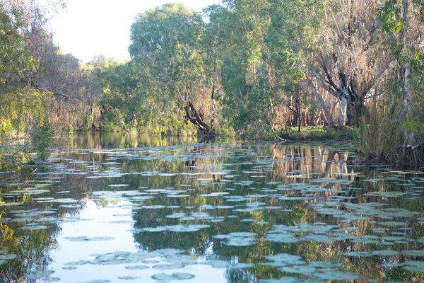 Millstream Chichester National Park outback Austrália — Fotografia de Stock