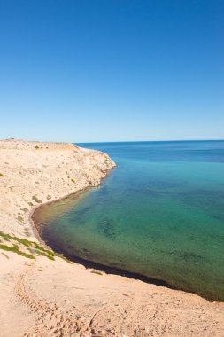 Güzel kartal blöf Shark Bay Avustralya