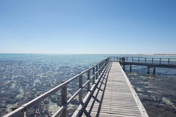 Femme Stromatolites Hamelin Pool Australie — Photo