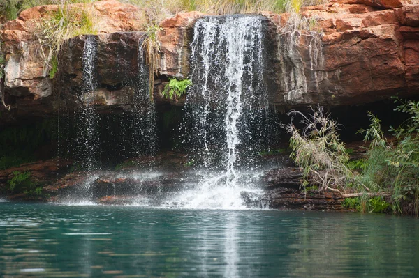 Ferntree Pool cachoeira Karijini Austrália — Fotografia de Stock
