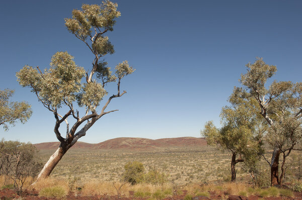 Landscape Australia in outback Pilbara