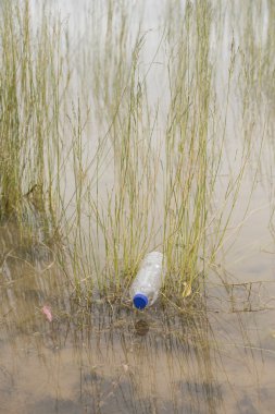 Plastik şişe önemsiz doğada bertaraf