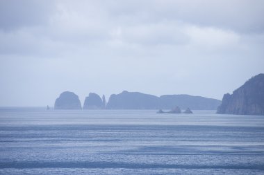 Puslu Uçurumun kıyısında Tasmania Güney Okyanusu