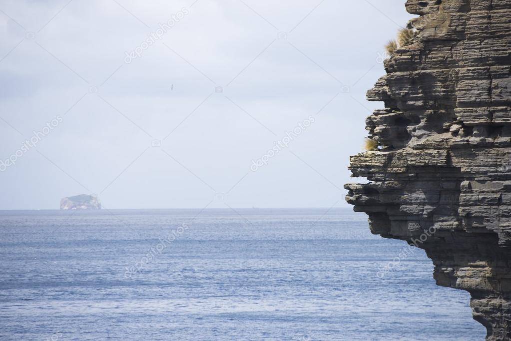 Cliff coast Tasman Peninsula southern ocean