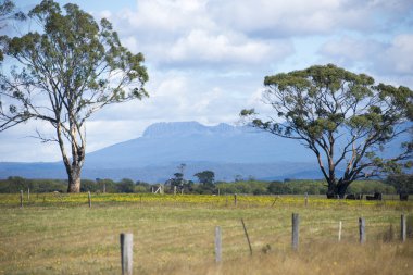 Ben lomond Milli Parkı dağ Tazmanya