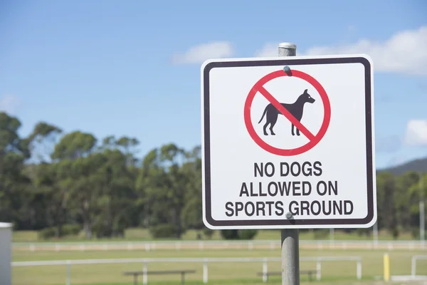 스포츠 지상에 금지 표시 개 — 스톡 사진