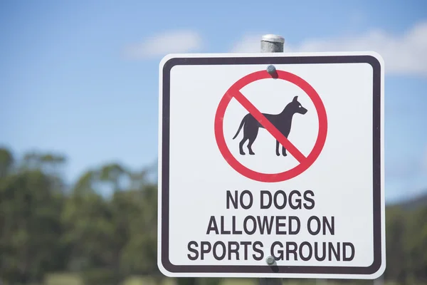 Aucun chien autorisé sur le terrain de sport signe — Photo
