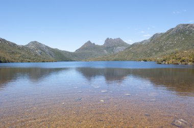 Cradle Dağı Milli Parkı Tasmania gölde güvercin