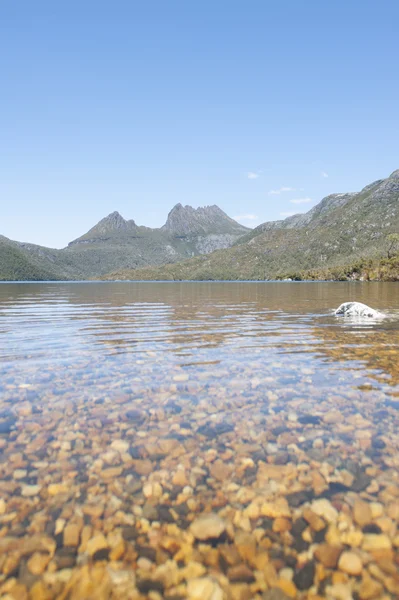 Natursköna landskapet vagga bergen Tasmanien — Stockfoto