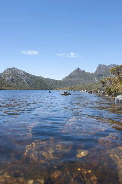 Sjön duva på Cradle Mountain Tasmania — Stockfoto