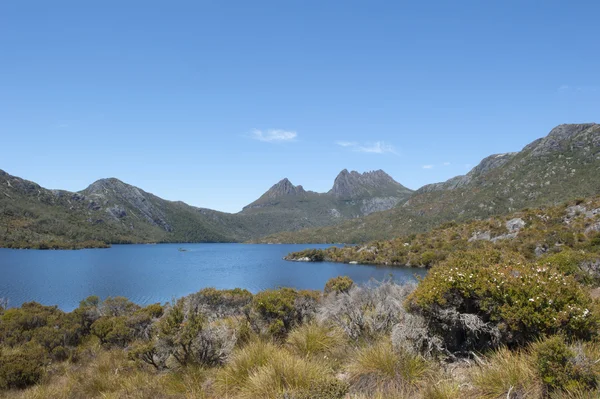 Cradle Mountain National Park Australia — Stock Photo, Image