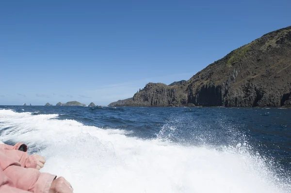 Sailing on tour boat along steep cliff coast Tasmania — Stock Photo, Image