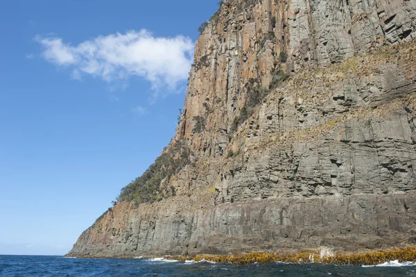 悬崖上海岸塔斯马尼亚砺岛野生海洋 — 图库照片