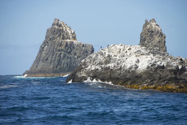 Steep rocky cliffs in remote ocean of Tasmania — Stock Photo, Image