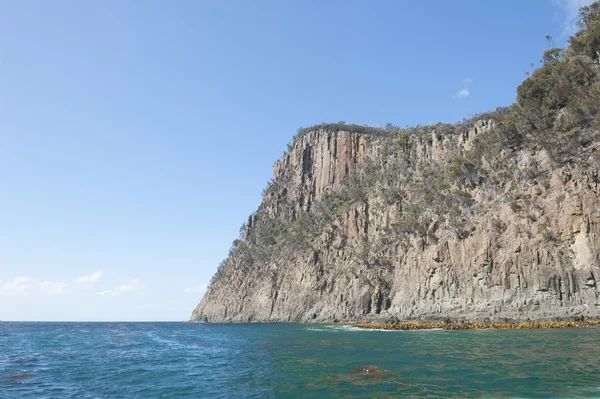 Cliff kust Bruny eiland Tasmanië Zuidelijke Oceaan — Stockfoto