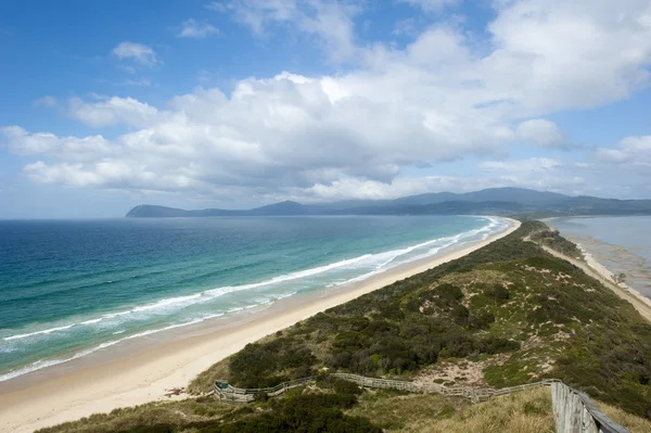 Scenic Lookout Bruny Island The Neck Beach — Stock Photo, Image