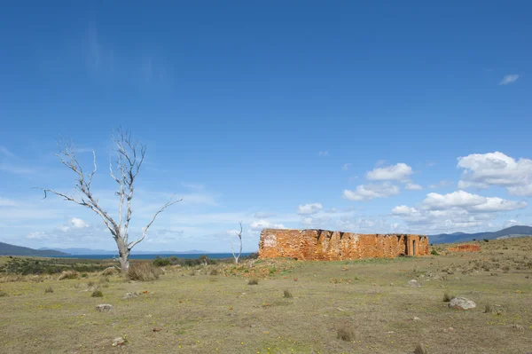 Maria wyspa Tasmania skazaniec ruiny budynku — Zdjęcie stockowe