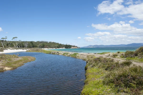 Maria Island Tasmania beach wilderness — Stock Photo, Image