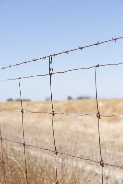 Barb wire kerítés vidéki mezőgazdasági gazdálkodás — Stock Fotó