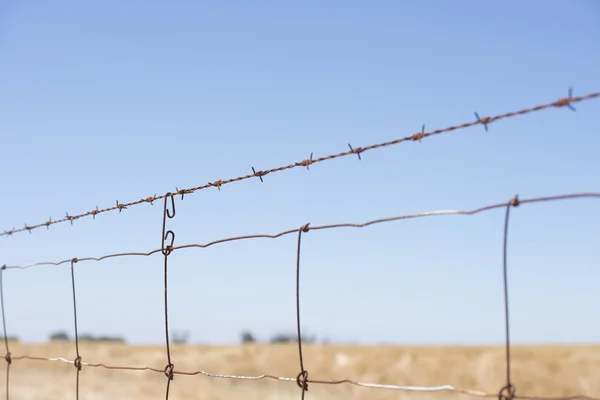 Barb wire fence rural agriculture farm field — Stock Photo, Image
