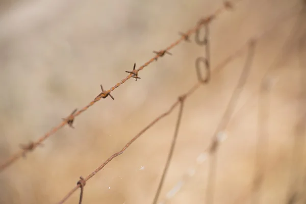 Забор из ржавой колючей проволоки — стоковое фото