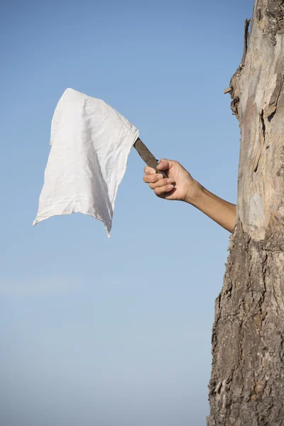 Hand with white flag as symbol for peace and resignation — Stock Photo, Image