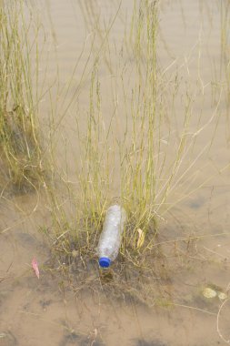 plastik şişe önemsiz vahşi doğada bertaraf