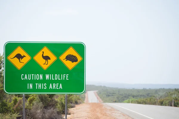 Wildlife Warning Highway Australia — Zdjęcie stockowe