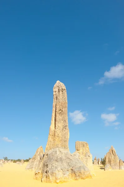 Nambung National Park Western Australia — Stock fotografie