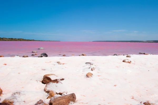 Pink Lake Panorama Australia — Φωτογραφία Αρχείου