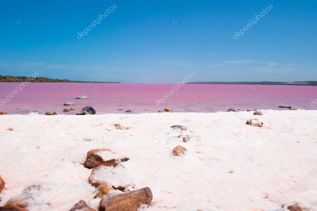 Pink Lake Panorama Australia 