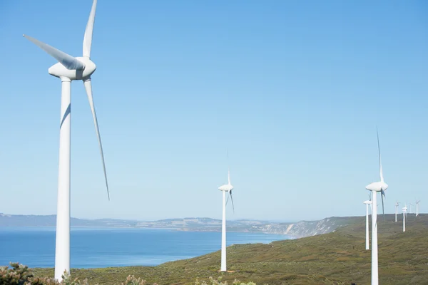 Clean Renewable Wind Power Farm Australia — Stock Photo, Image