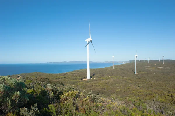 Yenilenebilir Rüzgar enerji Batı Avustralya