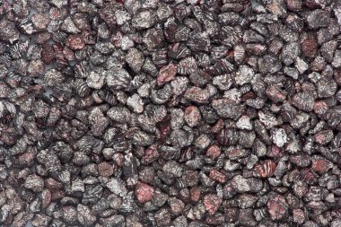 Background texture of dried Cochineal Insects, used to make scarlet colored dye. clipart